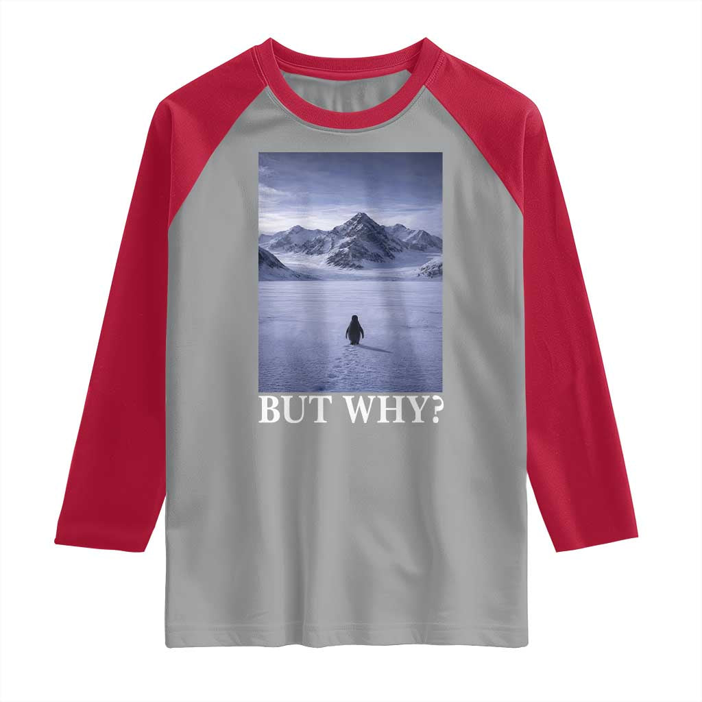 Nihilist Penguin But Why Raglan Shirt Lone Penguin Walking Toward Mountain Meme