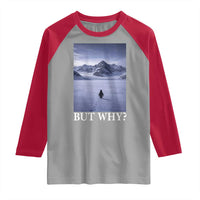 Nihilist Penguin But Why Raglan Shirt Lone Penguin Walking Toward Mountain Meme