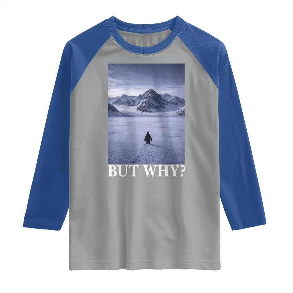 Nihilist Penguin But Why Raglan Shirt Lone Penguin Walking Toward Mountain Meme