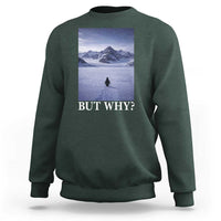 Nihilist Penguin But Why Sweatshirt Lone Penguin Walking Toward Mountain Meme