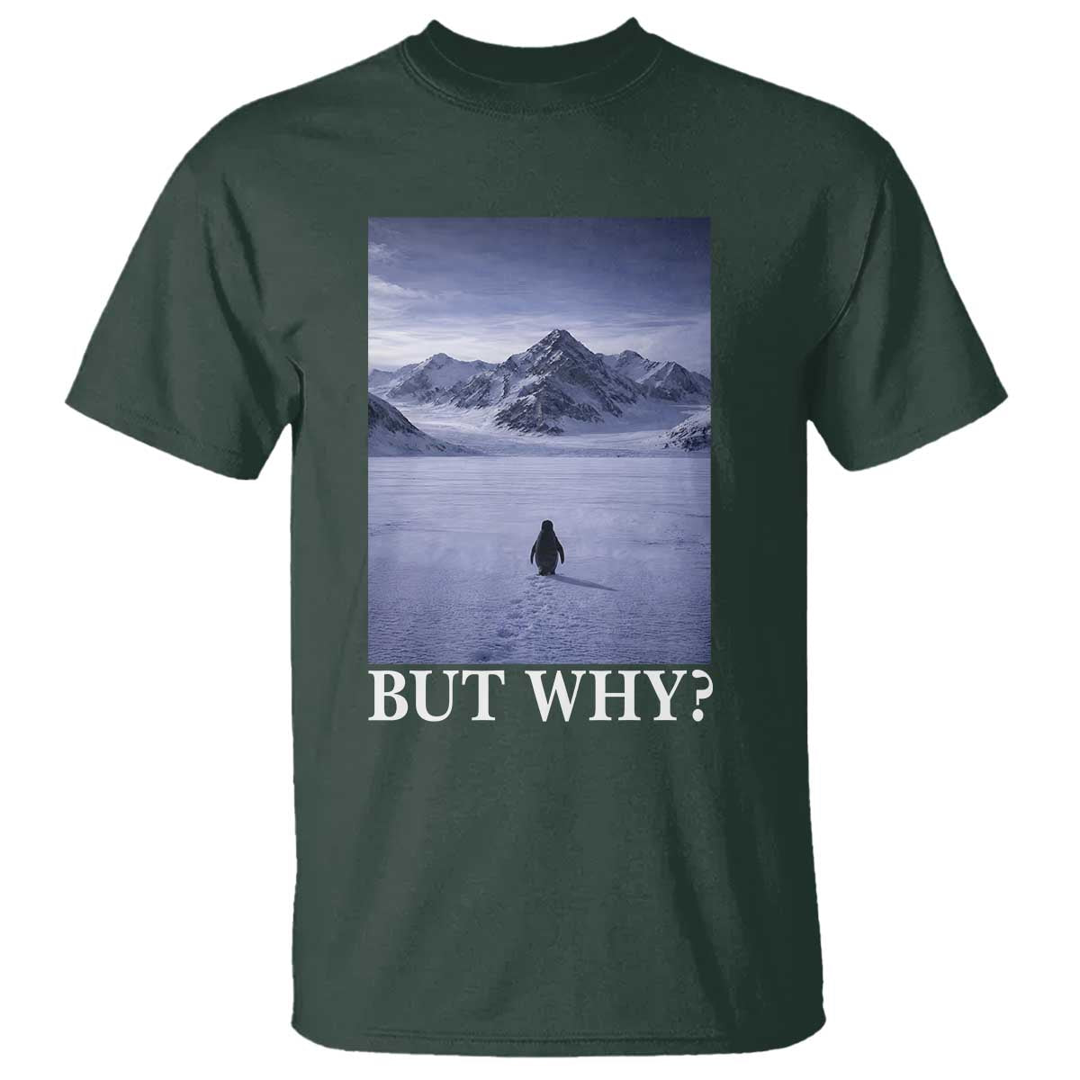 Nihilist Penguin But Why T Shirt Lone Penguin Walking Toward Mountain Meme