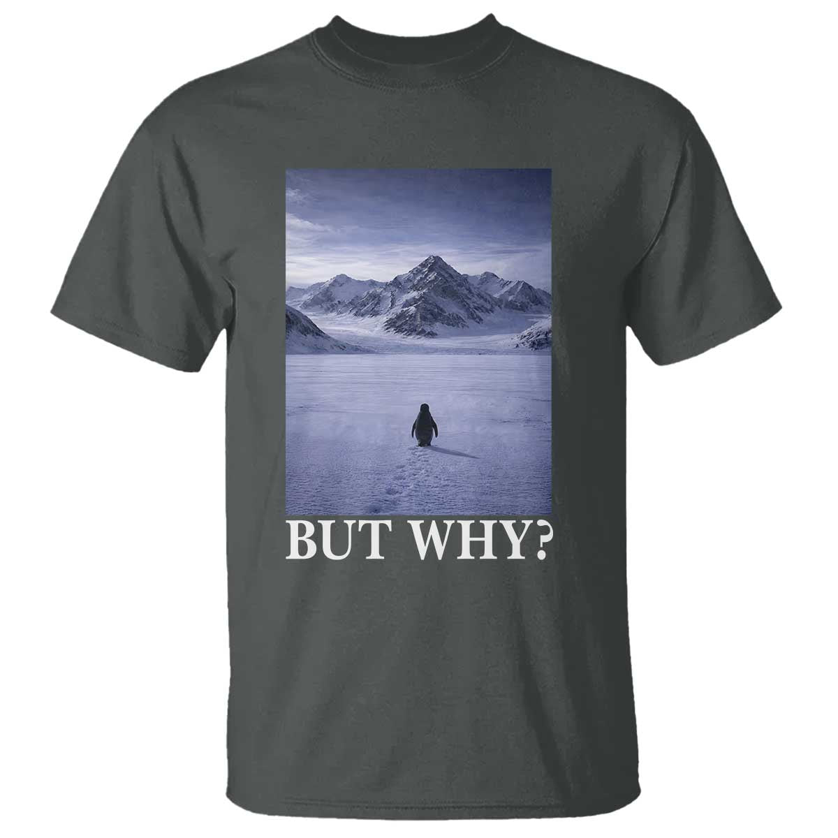 Nihilist Penguin But Why T Shirt Lone Penguin Walking Toward Mountain Meme