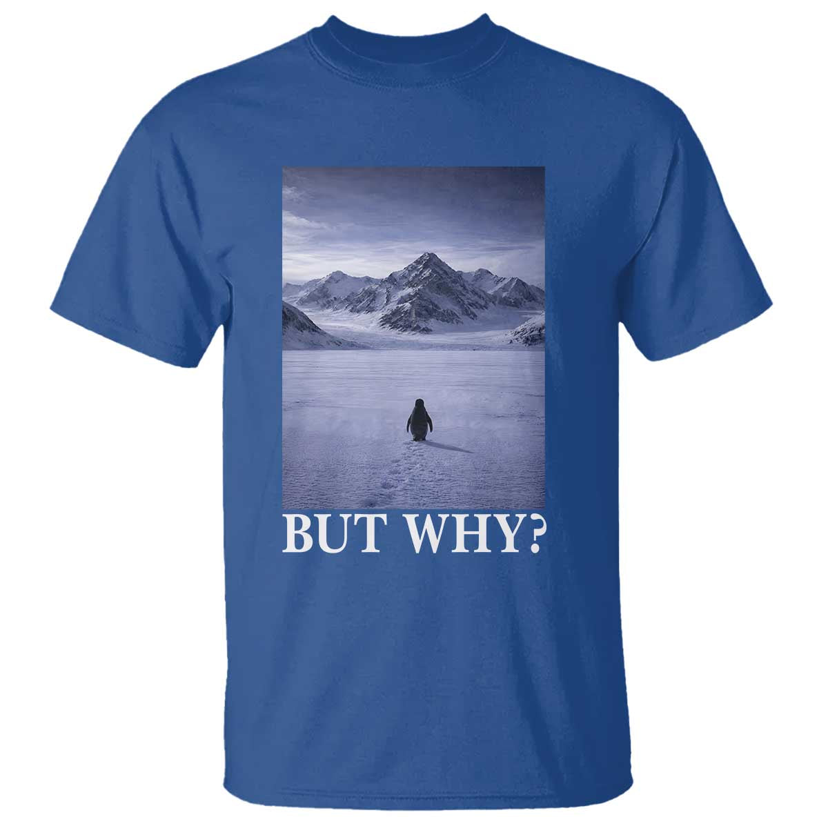 Nihilist Penguin But Why T Shirt Lone Penguin Walking Toward Mountain Meme