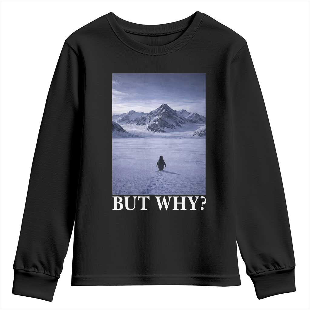 Nihilist Penguin But Why Youth Sweatshirt Lone Penguin Walking Toward Mountain Meme