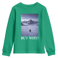 Nihilist Penguin But Why Youth Sweatshirt Lone Penguin Walking Toward Mountain Meme