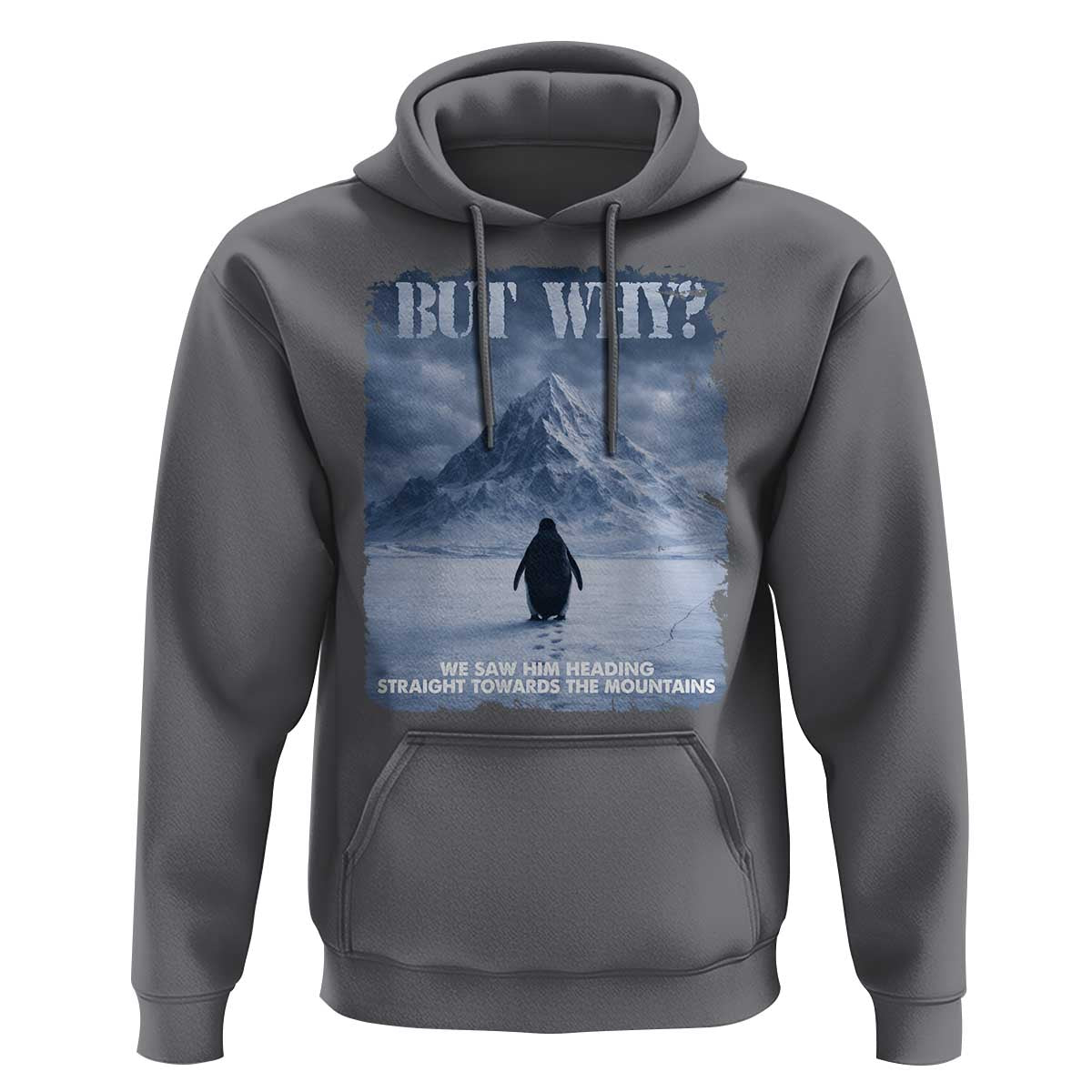 We Saw Him Heading Straight Towards The Mountain But Why Nihilist Penguin Hoodie