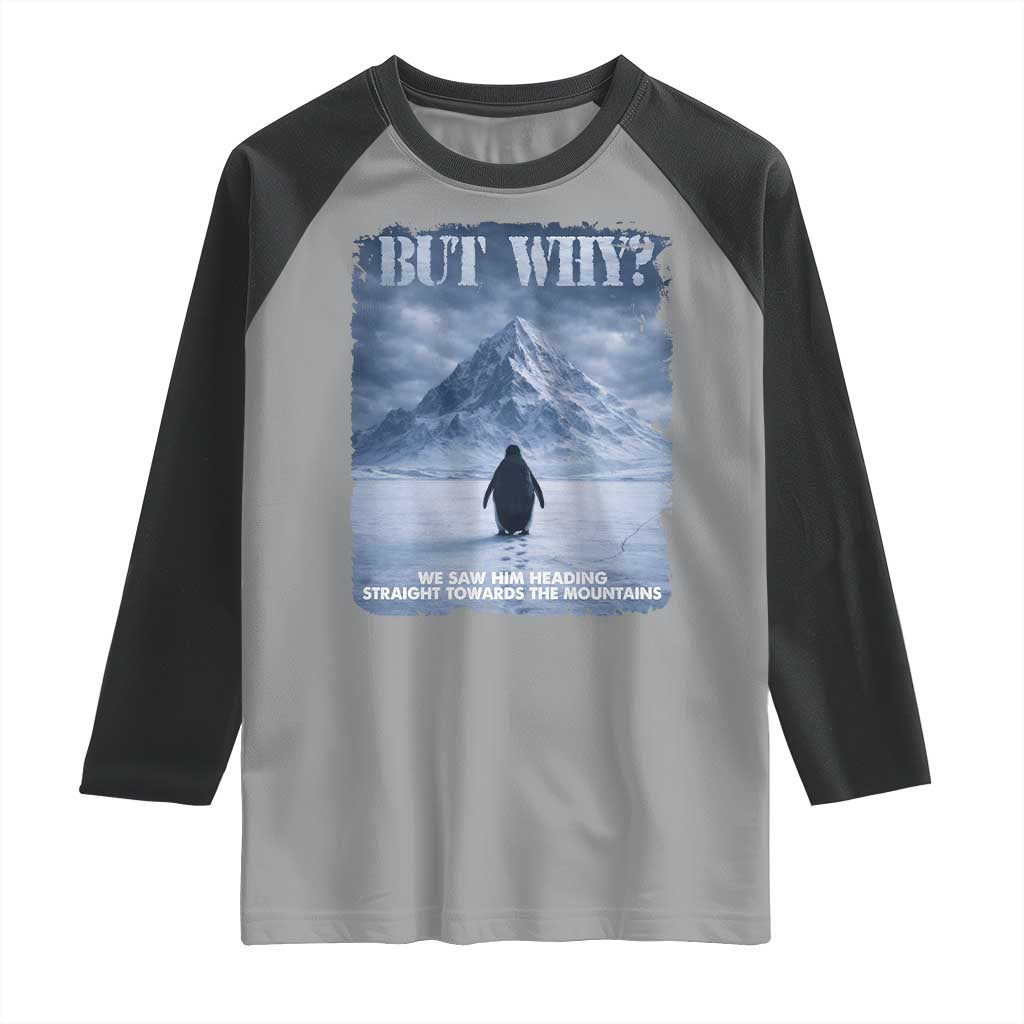 We Saw Him Heading Straight Towards The Mountain But Why Nihilist Penguin Raglan Shirt