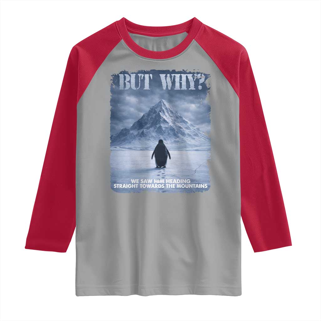 We Saw Him Heading Straight Towards The Mountain But Why Nihilist Penguin Raglan Shirt