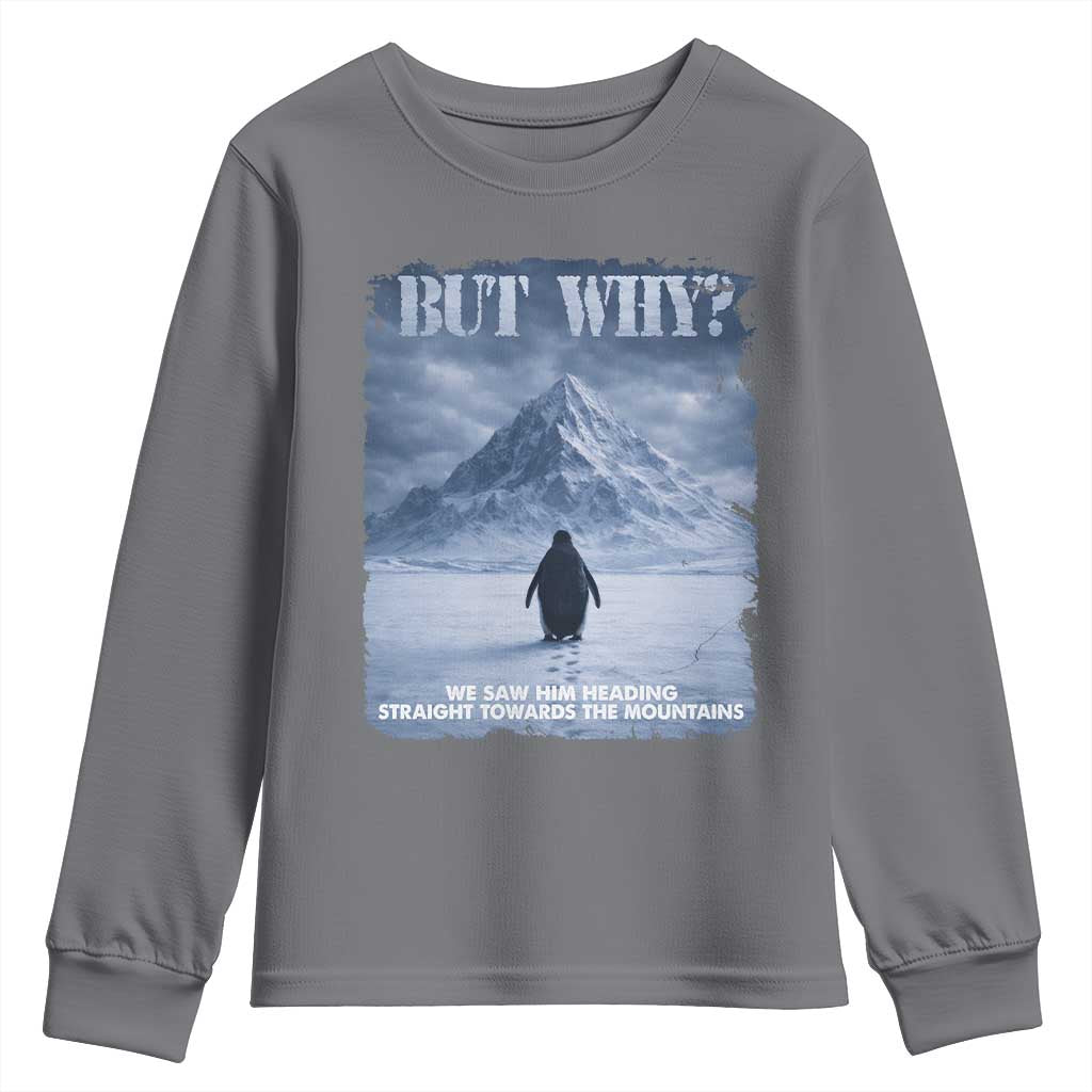 We Saw Him Heading Straight Towards The Mountain But Why Nihilist Penguin Youth Sweatshirt