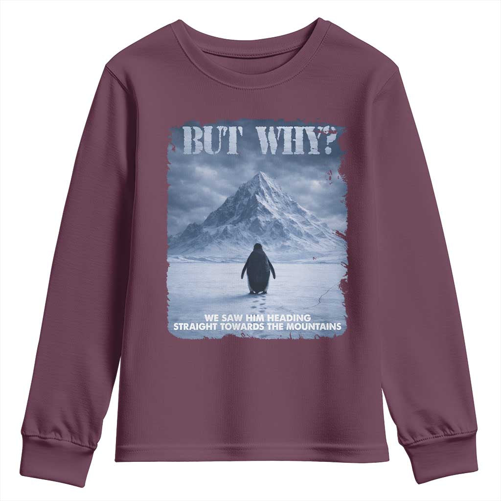 We Saw Him Heading Straight Towards The Mountain But Why Nihilist Penguin Youth Sweatshirt