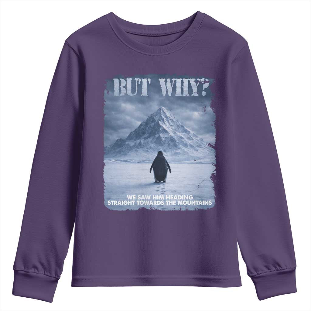 We Saw Him Heading Straight Towards The Mountain But Why Nihilist Penguin Youth Sweatshirt