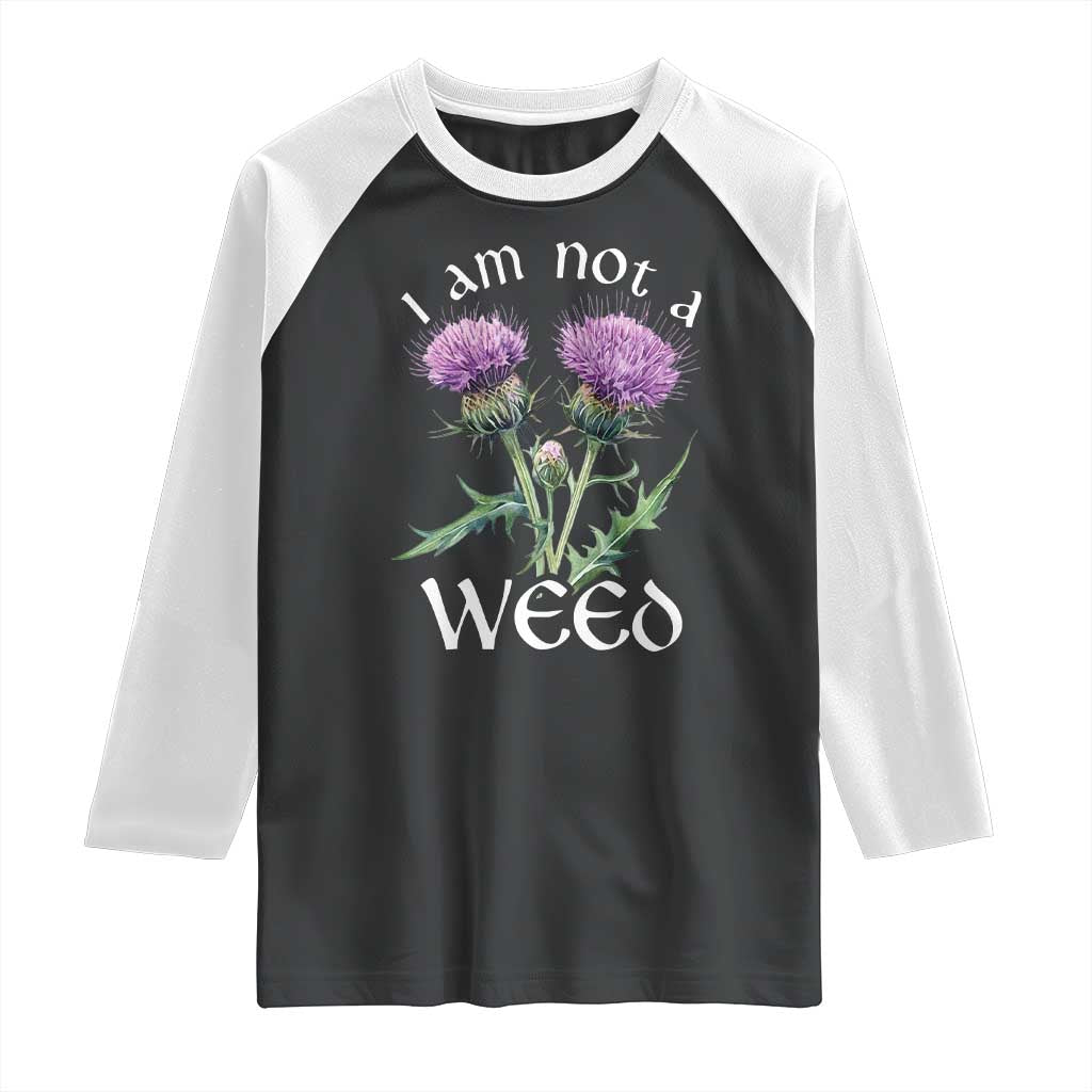 Funny Scottish Thistle I Am Not A Weed Raglan Shirt