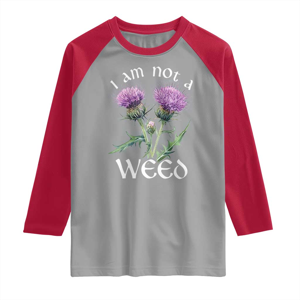 Funny Scottish Thistle I Am Not A Weed Raglan Shirt