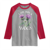 Funny Scottish Thistle I Am Not A Weed Raglan Shirt