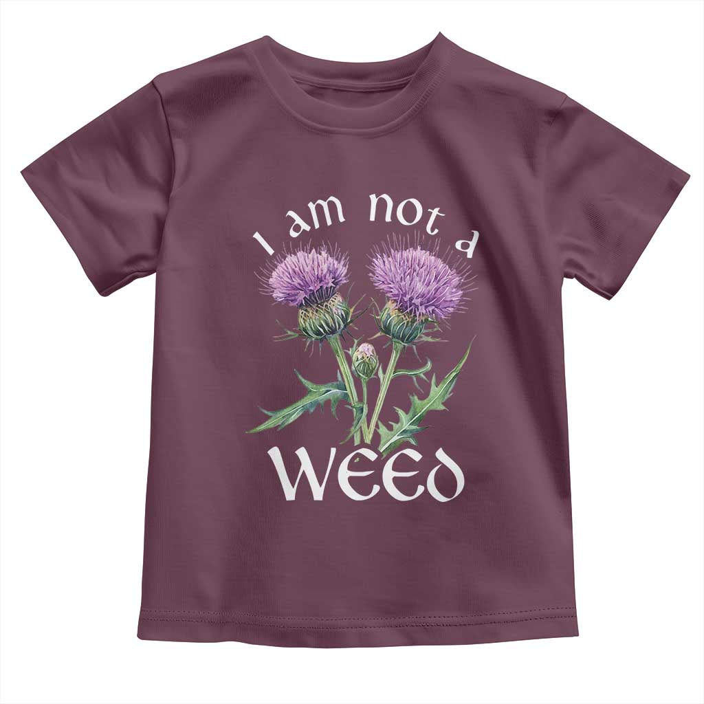 Funny Scottish Thistle I Am Not A Weed Toddler T Shirt