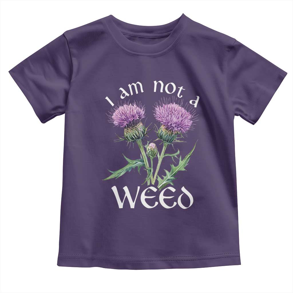 Funny Scottish Thistle I Am Not A Weed Toddler T Shirt