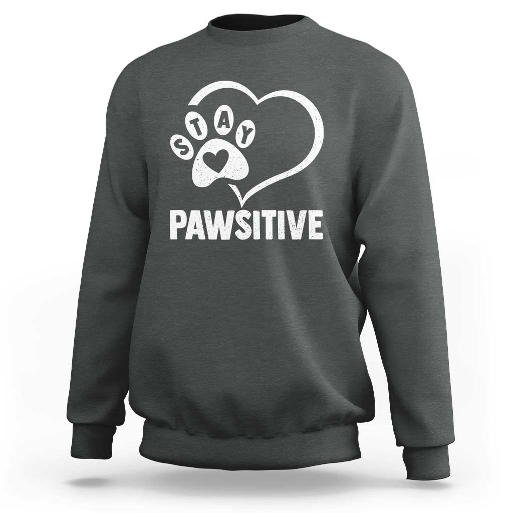 Funny Stay Pawsitive Sweatshirt Cat Dog Lover Positive Vibes - Wonder Print Shop