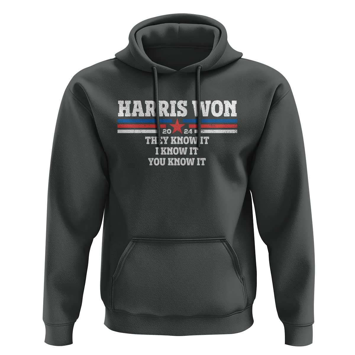 Harris Won 2024 Hoodie They I And You Know It US Election