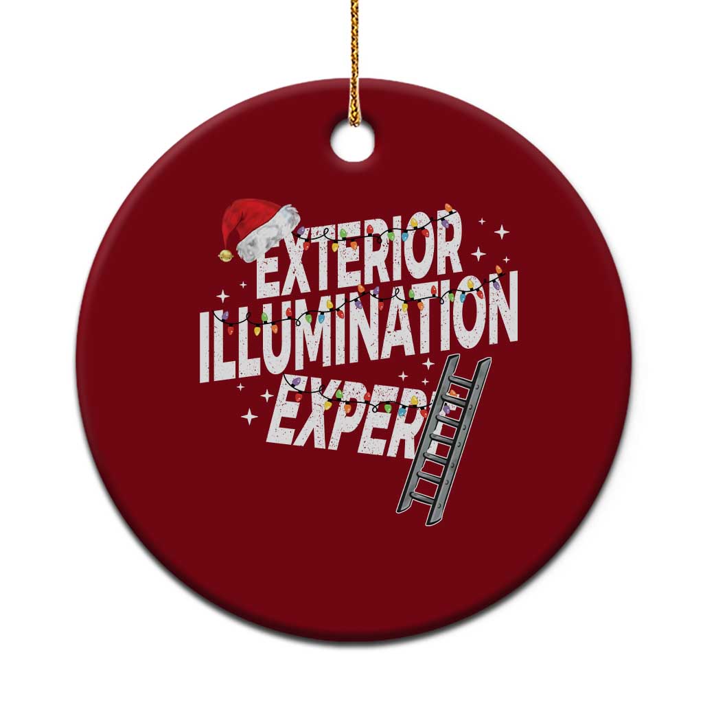 Funny Christmas Exterior Illumination Expert Ceramic Ornament Xmas Lights Decorator - Wonder Print Shop