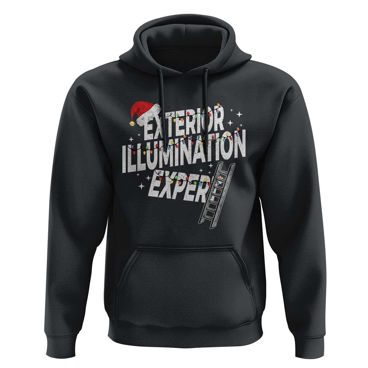 Funny Christmas Exterior Illumination Expert Hoodie Xmas Lights Decorator - Wonder Print Shop