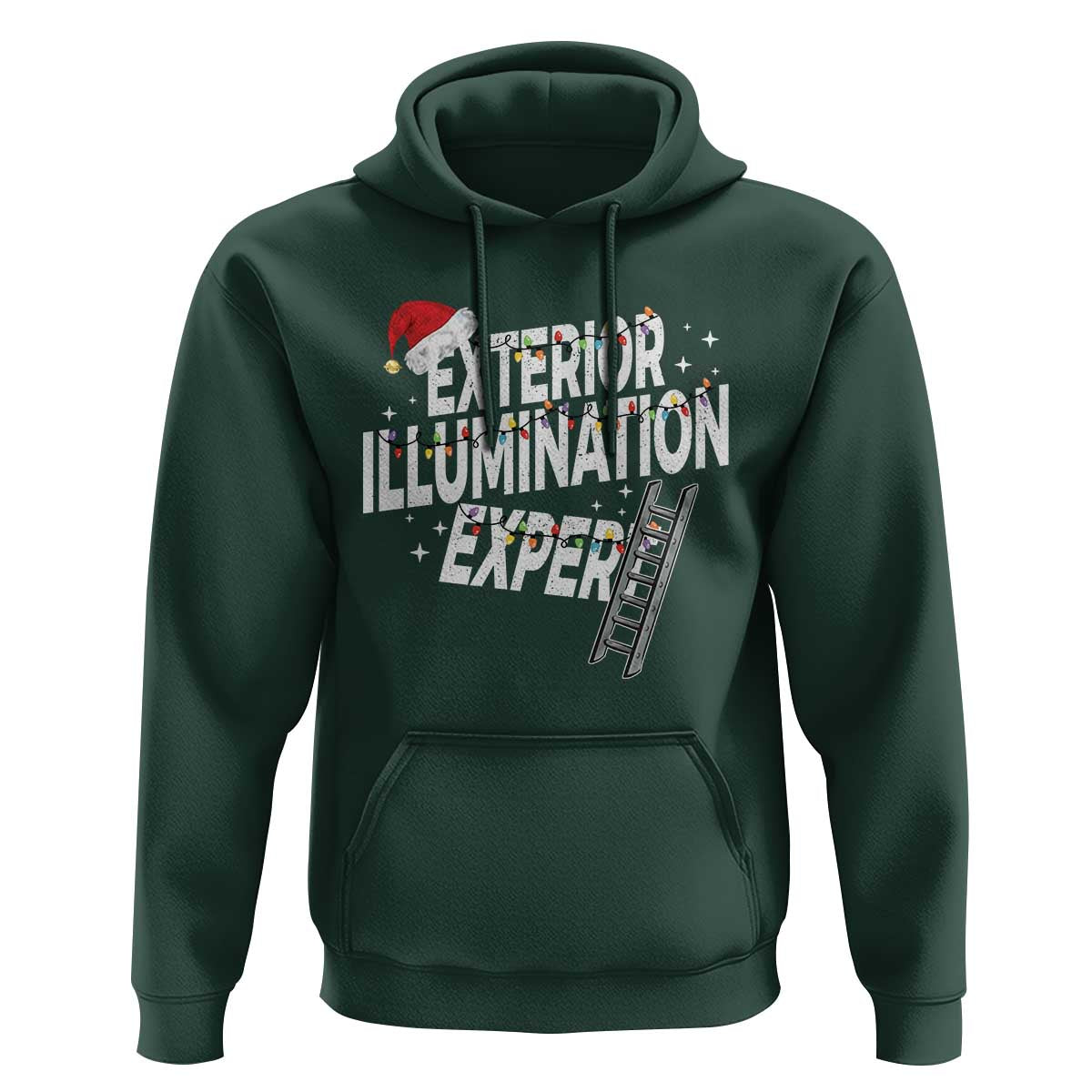 Funny Christmas Exterior Illumination Expert Hoodie Xmas Lights Decorator - Wonder Print Shop