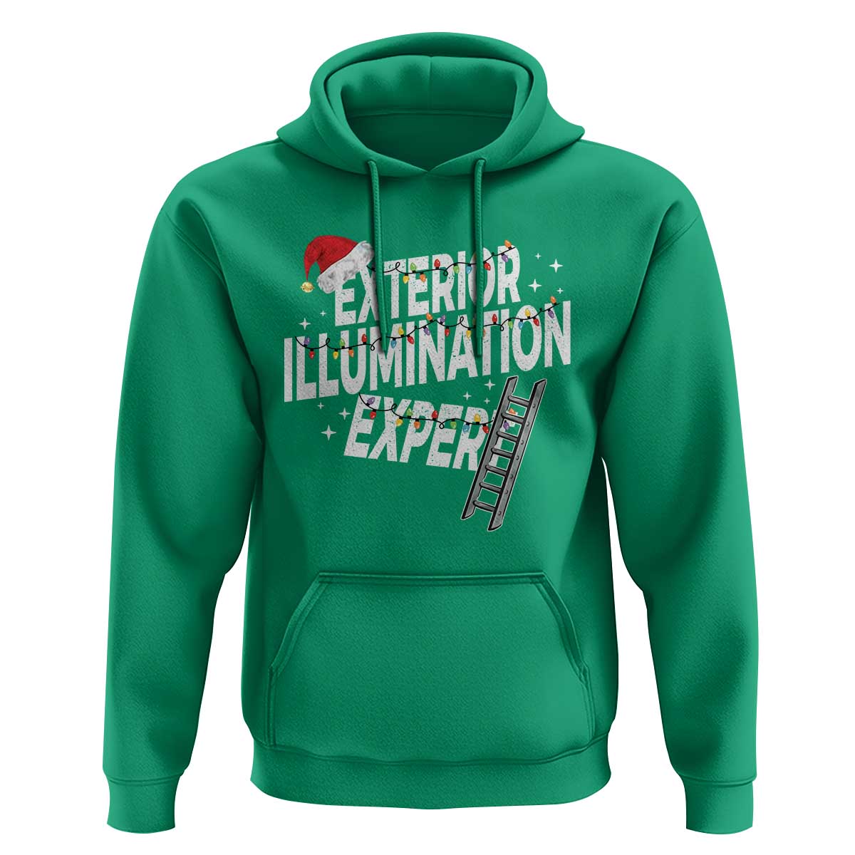 Funny Christmas Exterior Illumination Expert Hoodie Xmas Lights Decorator - Wonder Print Shop