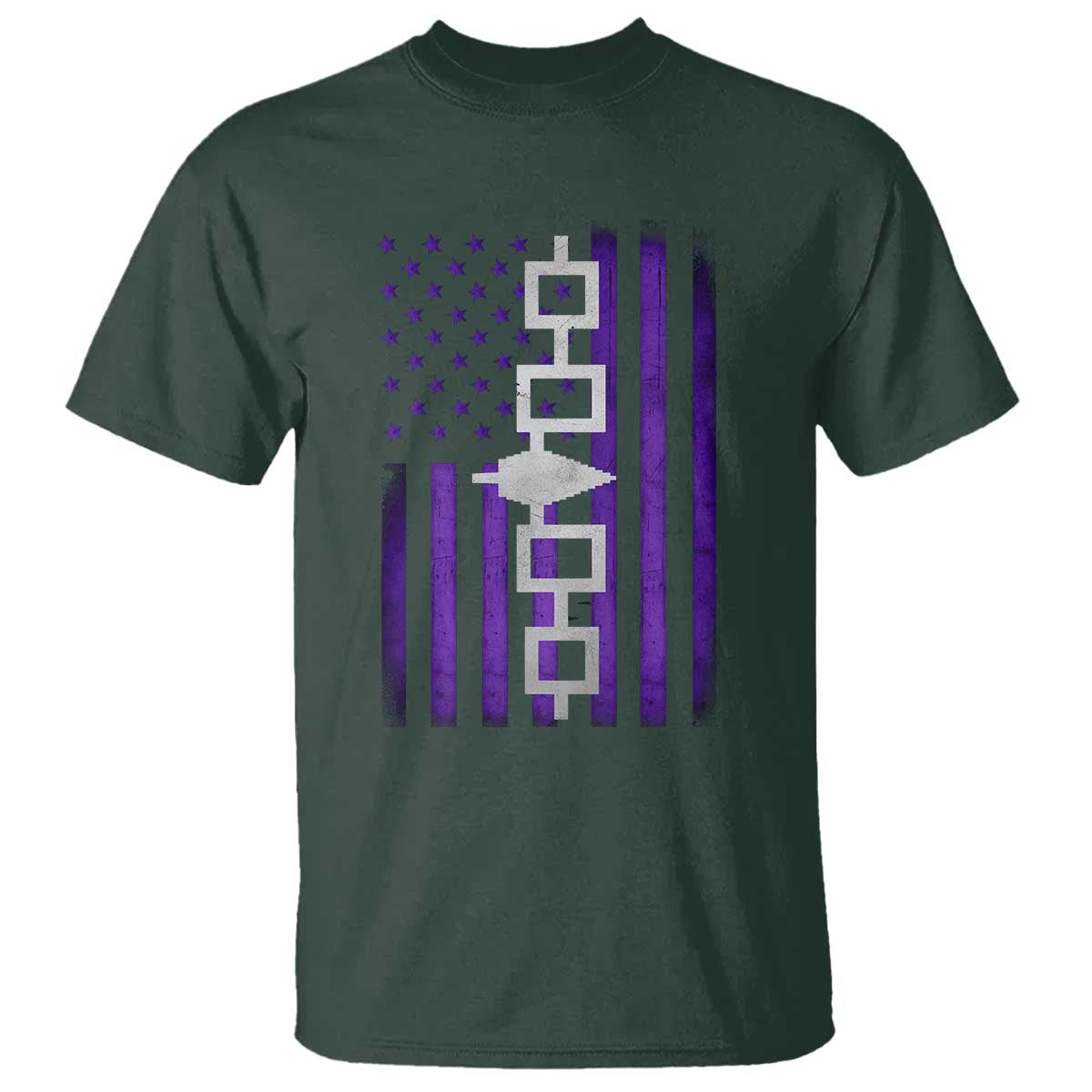 Haudenosaunee Iroquois Pride USA Flag Native American T Shirt - Wonder Print Shop