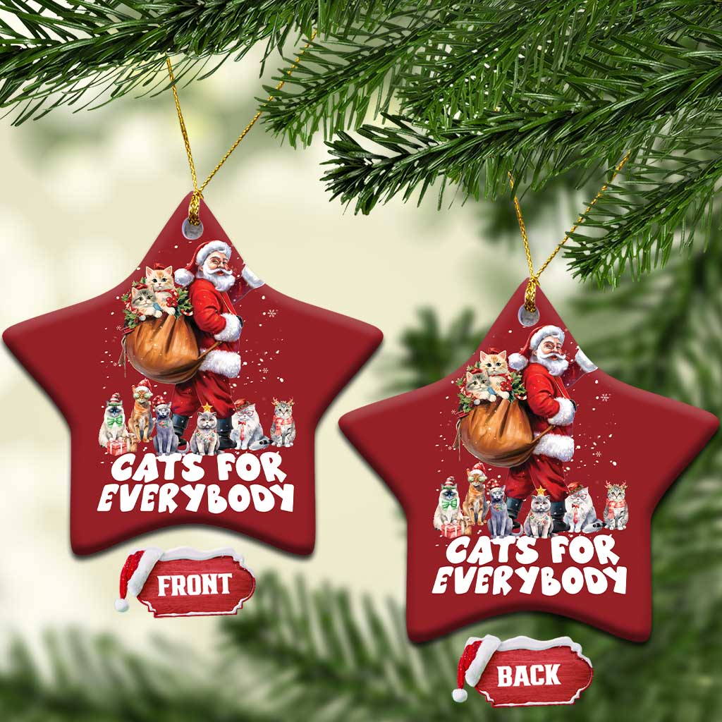 Funny Xmas Cat Christmas Ornament Cats For Everybody Xmas Santa Pet - Wonder Print Shop