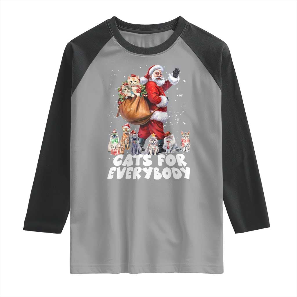 Funny Christmas Cat Raglan Shirt Cats For Everybody Xmas Santa Pet - Wonder Print Shop
