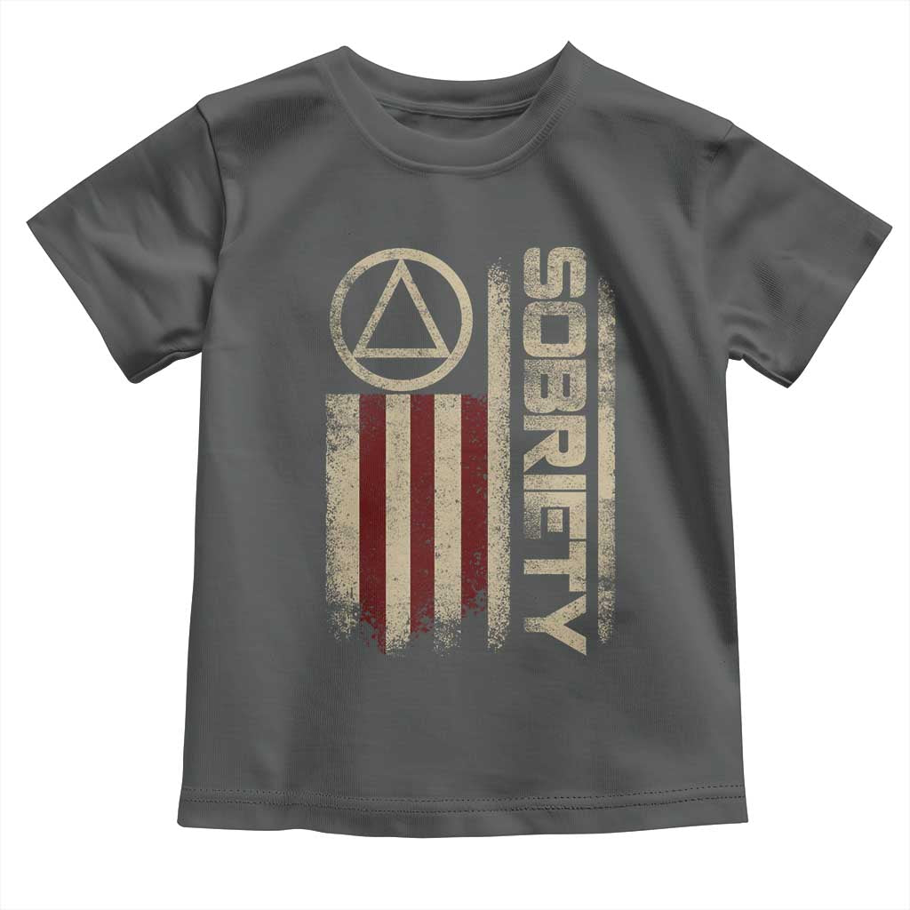 Sober AA NA Sobriety Anniversary Toddler T Shirt Alcoholism Addiction Recovery Vintage American Flag
