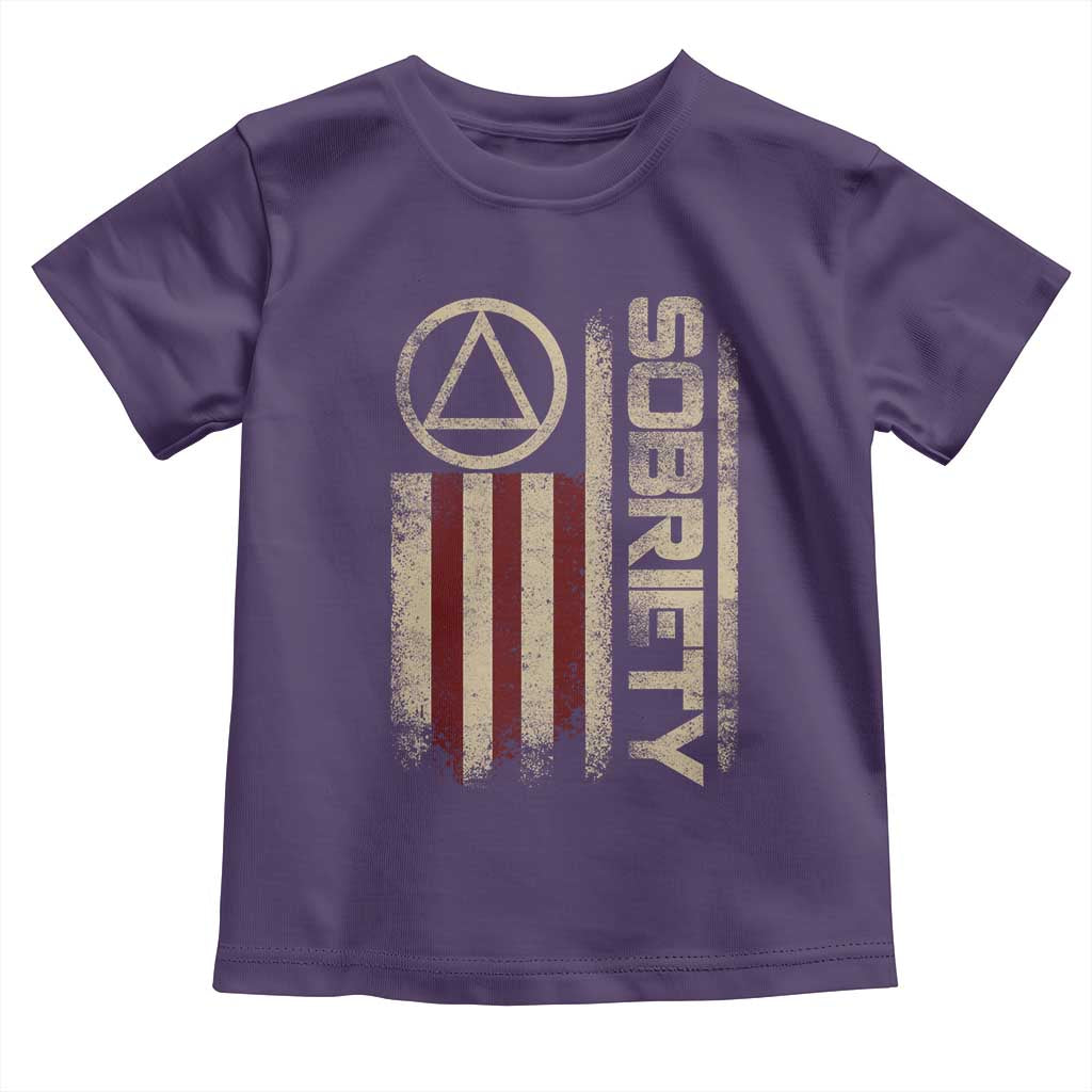 Sober AA NA Sobriety Anniversary Toddler T Shirt Alcoholism Addiction Recovery Vintage American Flag