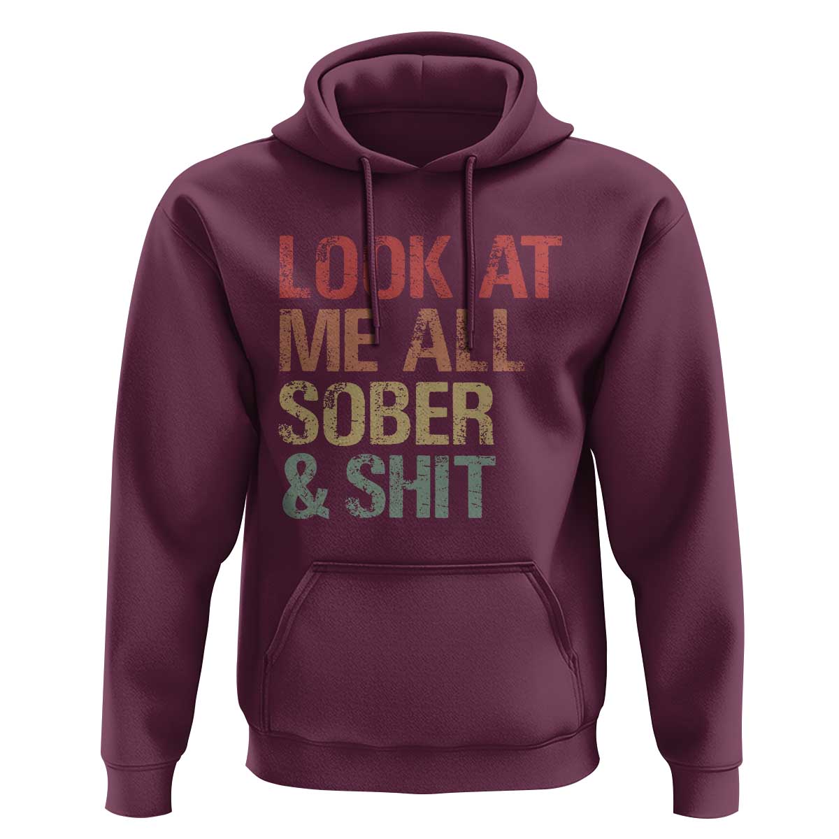 Look At Me All Sober And Shit Hoodie Funny Addiction Recovery