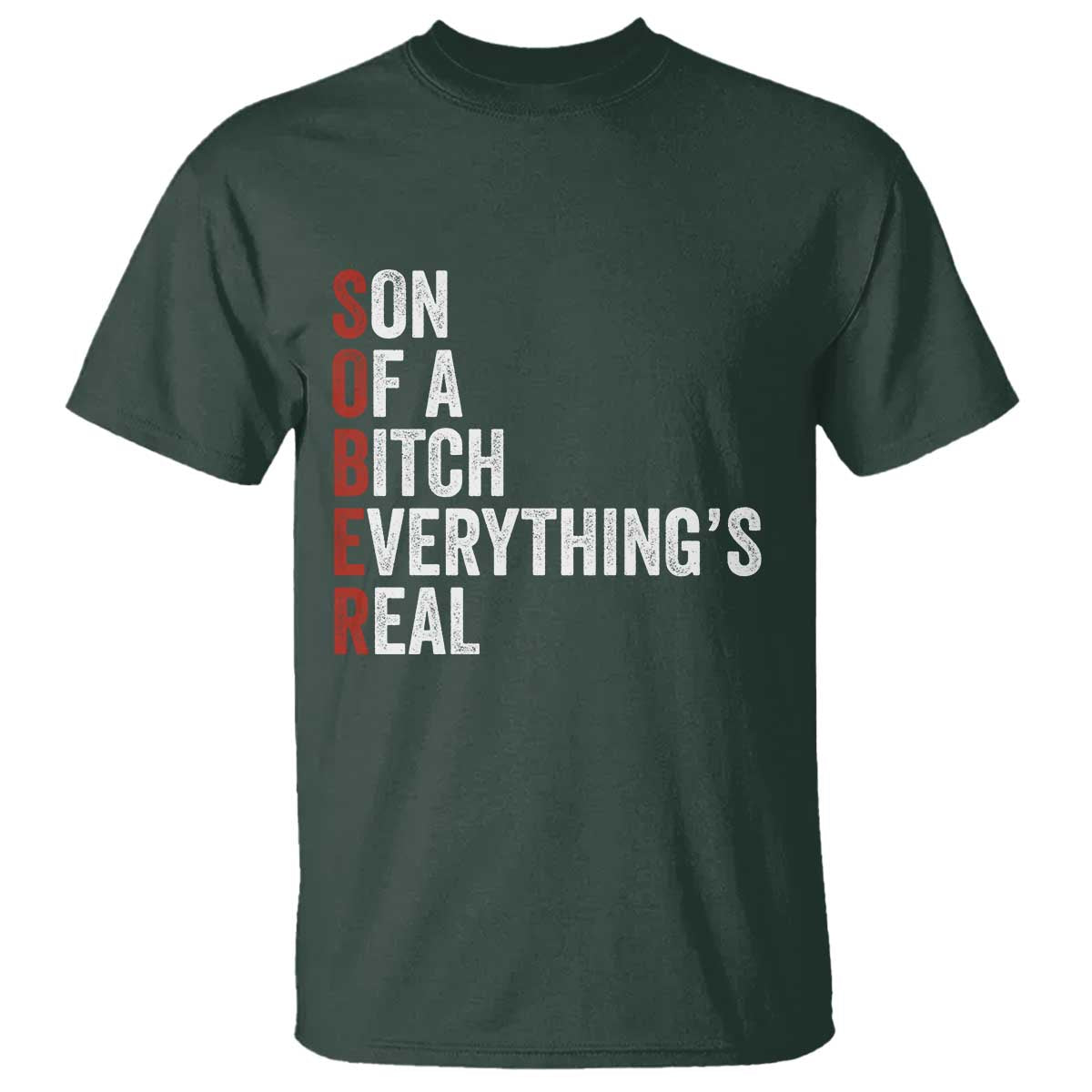 Sobriety Anniversary T Shirt Sober Son Of A Bitch Everythings Real AA NA