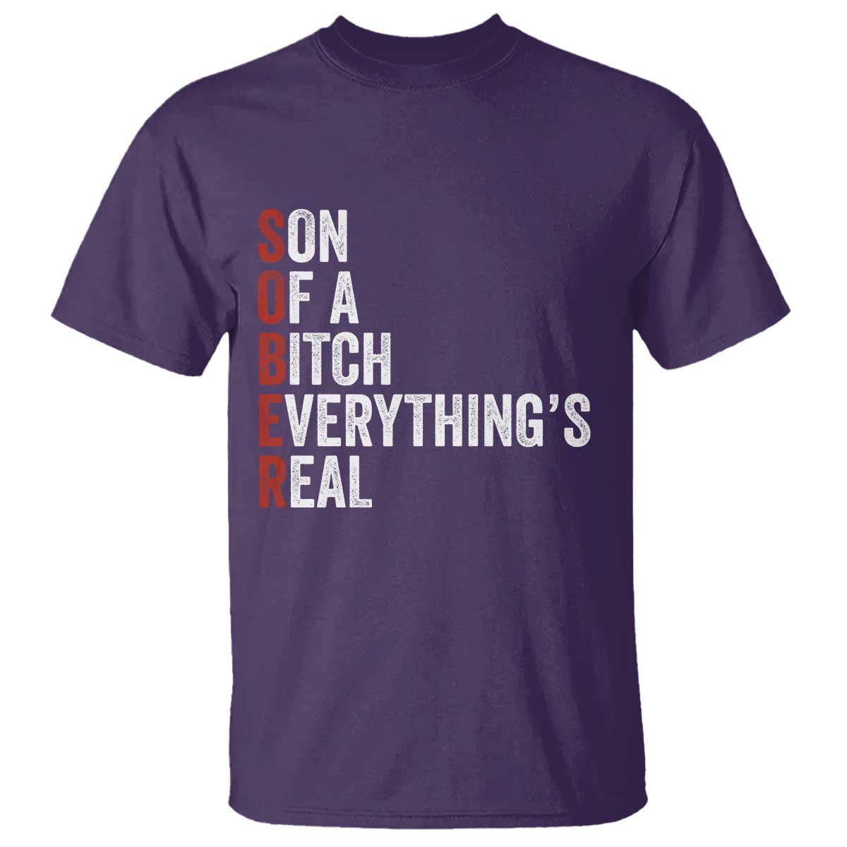 Sobriety Anniversary T Shirt Sober Son Of A Bitch Everythings Real AA NA