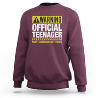 13th Birthday Sweatshirt Warning Official Teenager May Contain Attitude Funny 13 Years Old