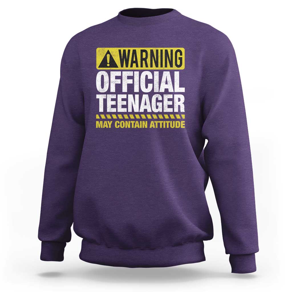 13th Birthday Sweatshirt Warning Official Teenager May Contain Attitude Funny 13 Years Old