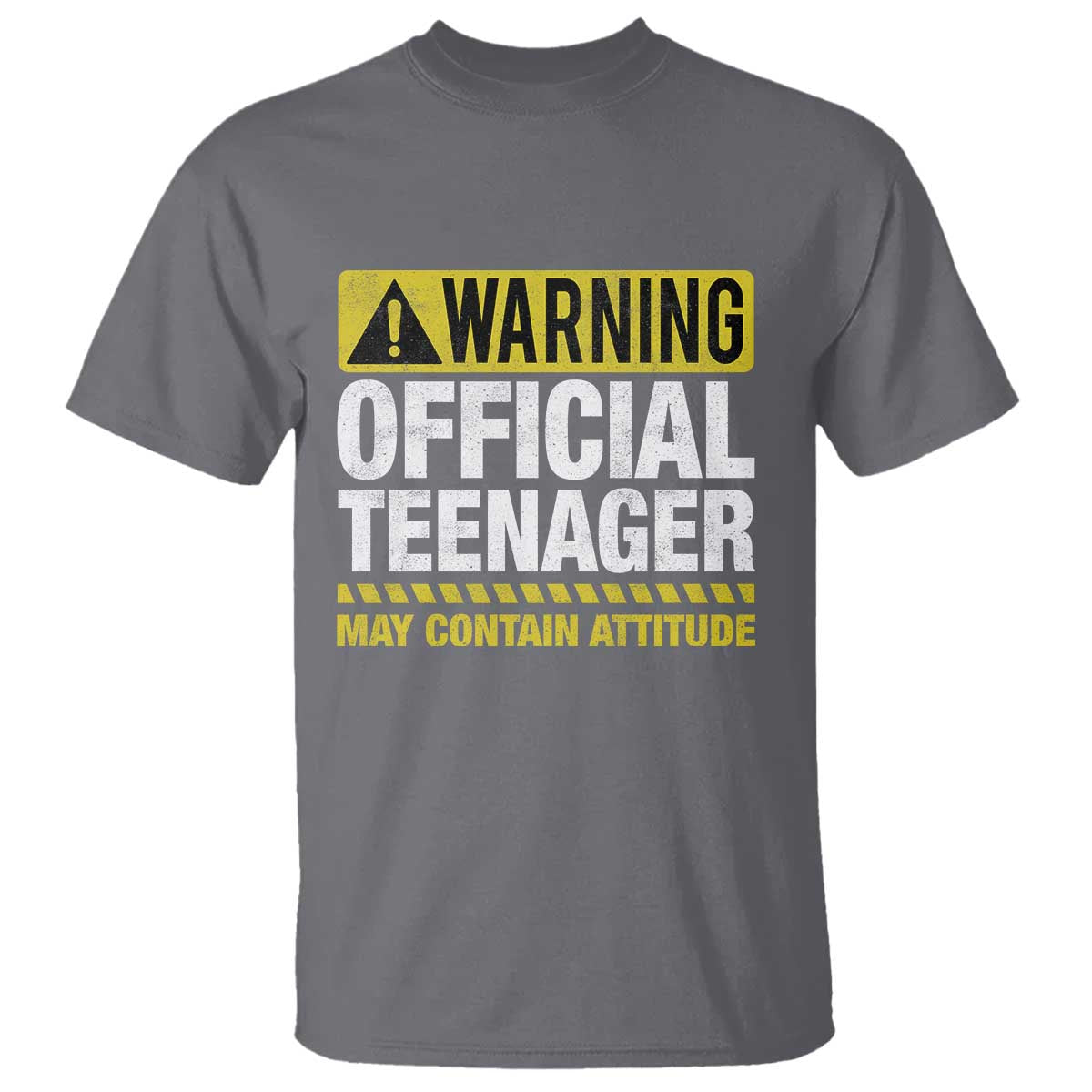 13th Birthday T Shirt Warning Official Teenager May Contain Attitude Funny 13 Years Old