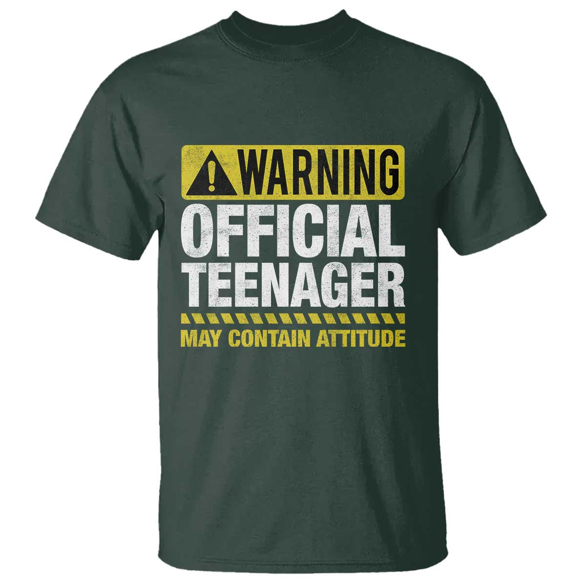 13th Birthday T Shirt Warning Official Teenager May Contain Attitude Funny 13 Years Old