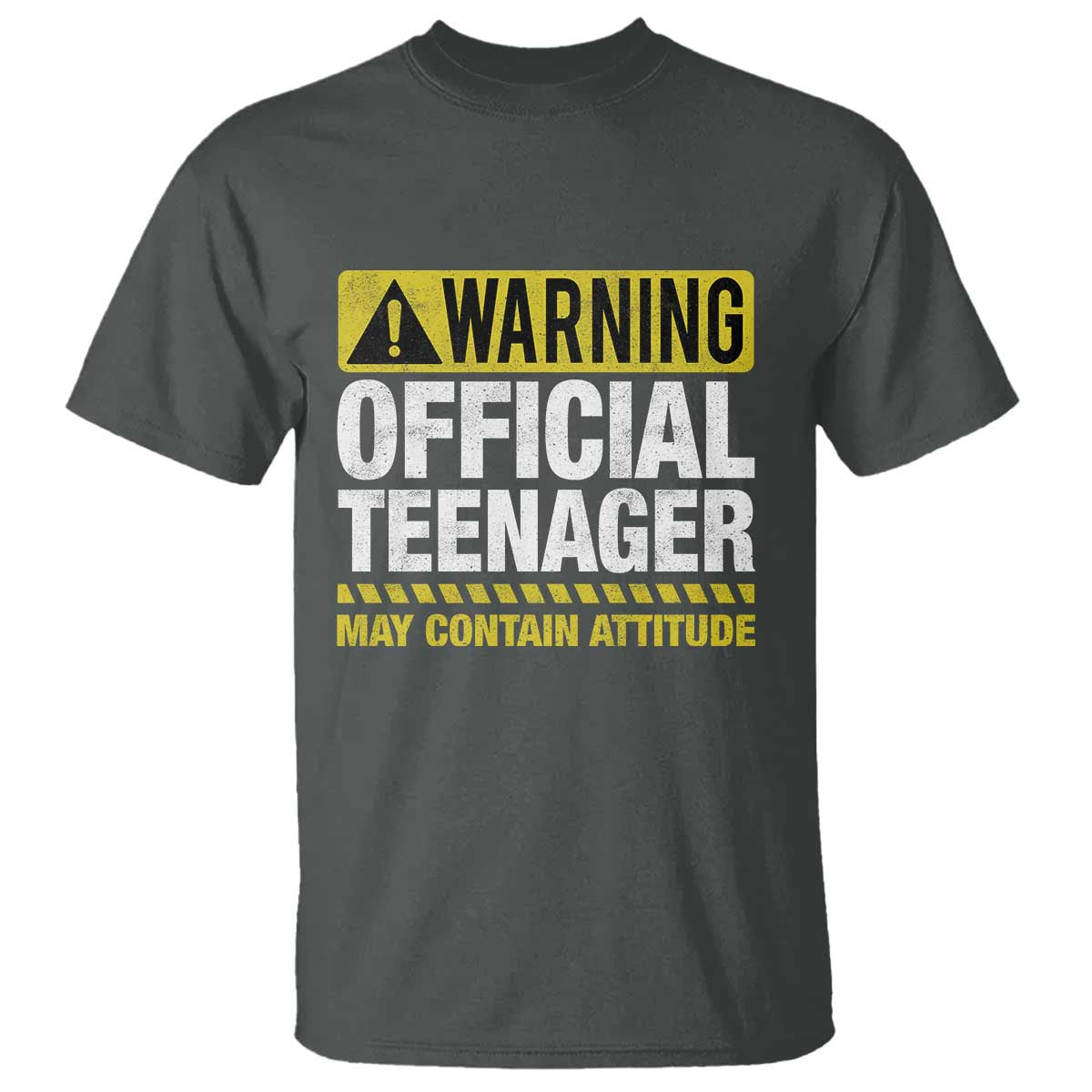 13th Birthday T Shirt Warning Official Teenager May Contain Attitude Funny 13 Years Old