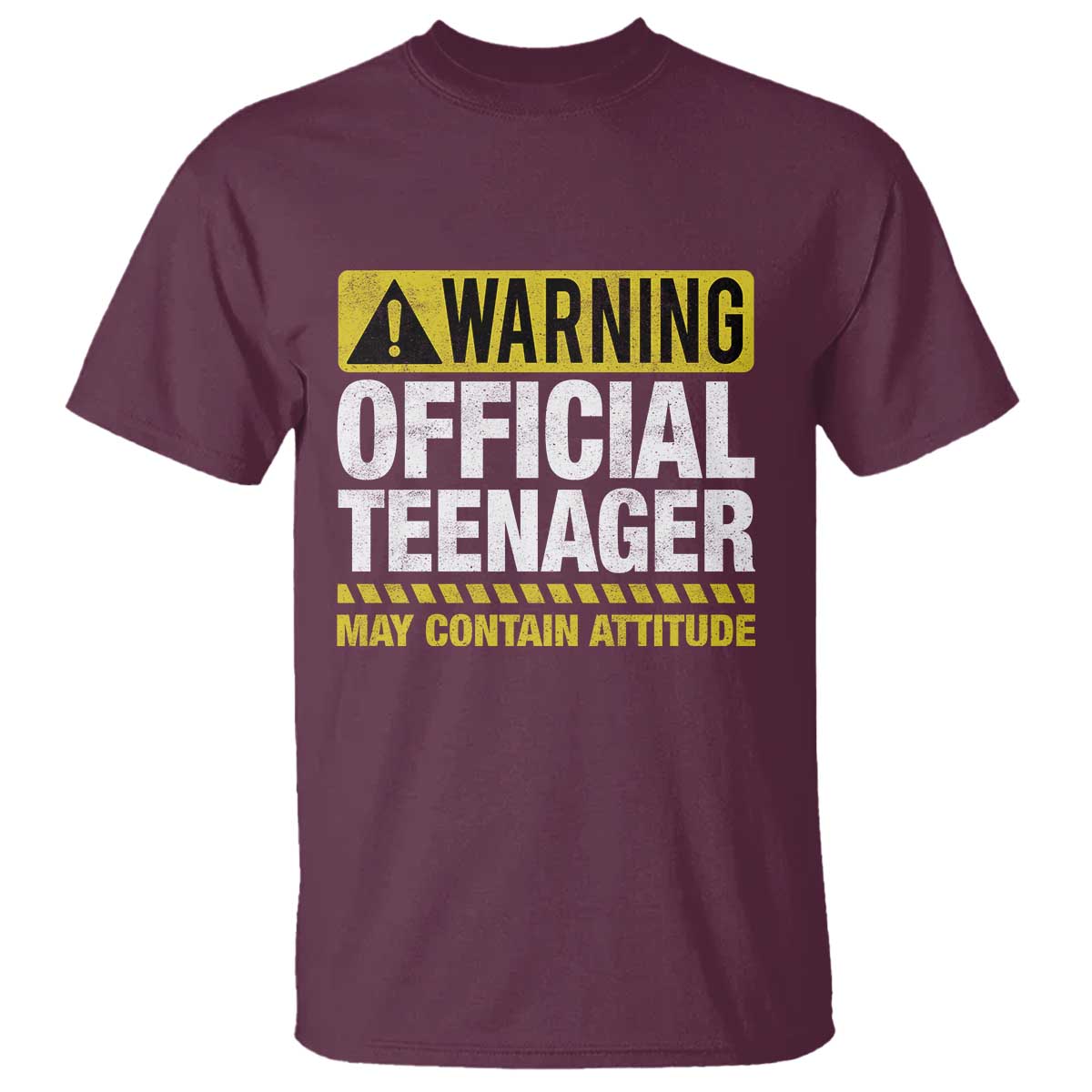 13th Birthday T Shirt Warning Official Teenager May Contain Attitude Funny 13 Years Old