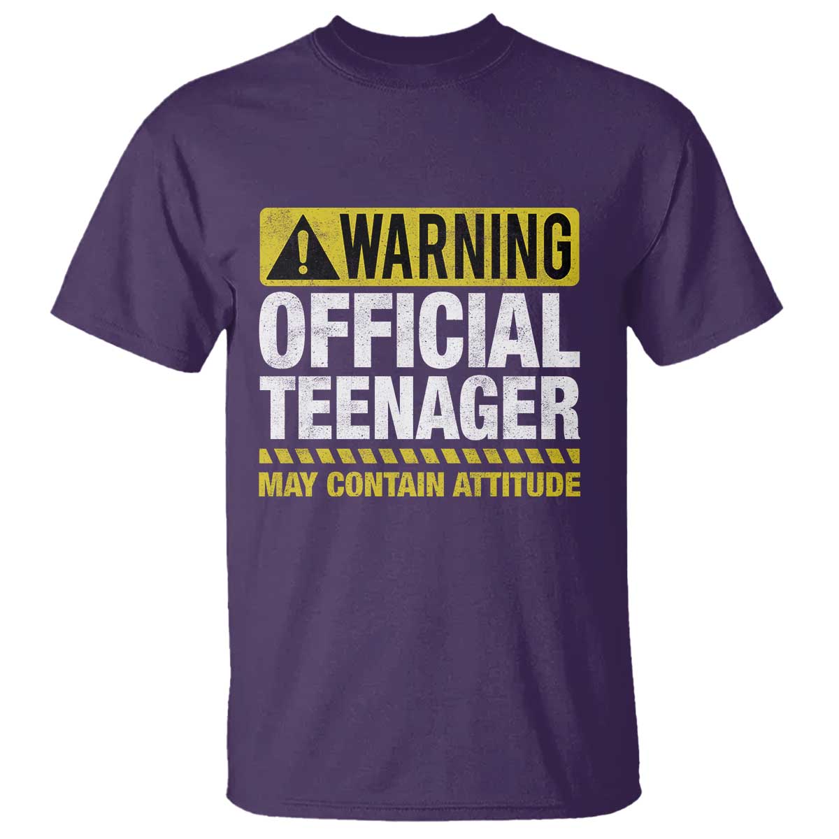 13th Birthday T Shirt Warning Official Teenager May Contain Attitude Funny 13 Years Old