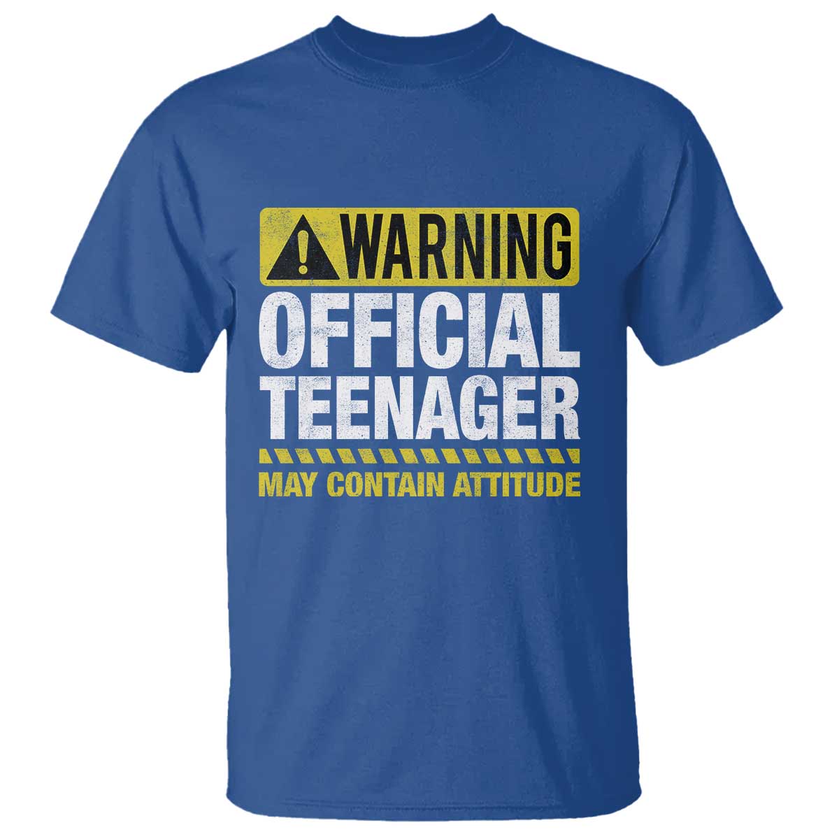 13th Birthday T Shirt Warning Official Teenager May Contain Attitude Funny 13 Years Old