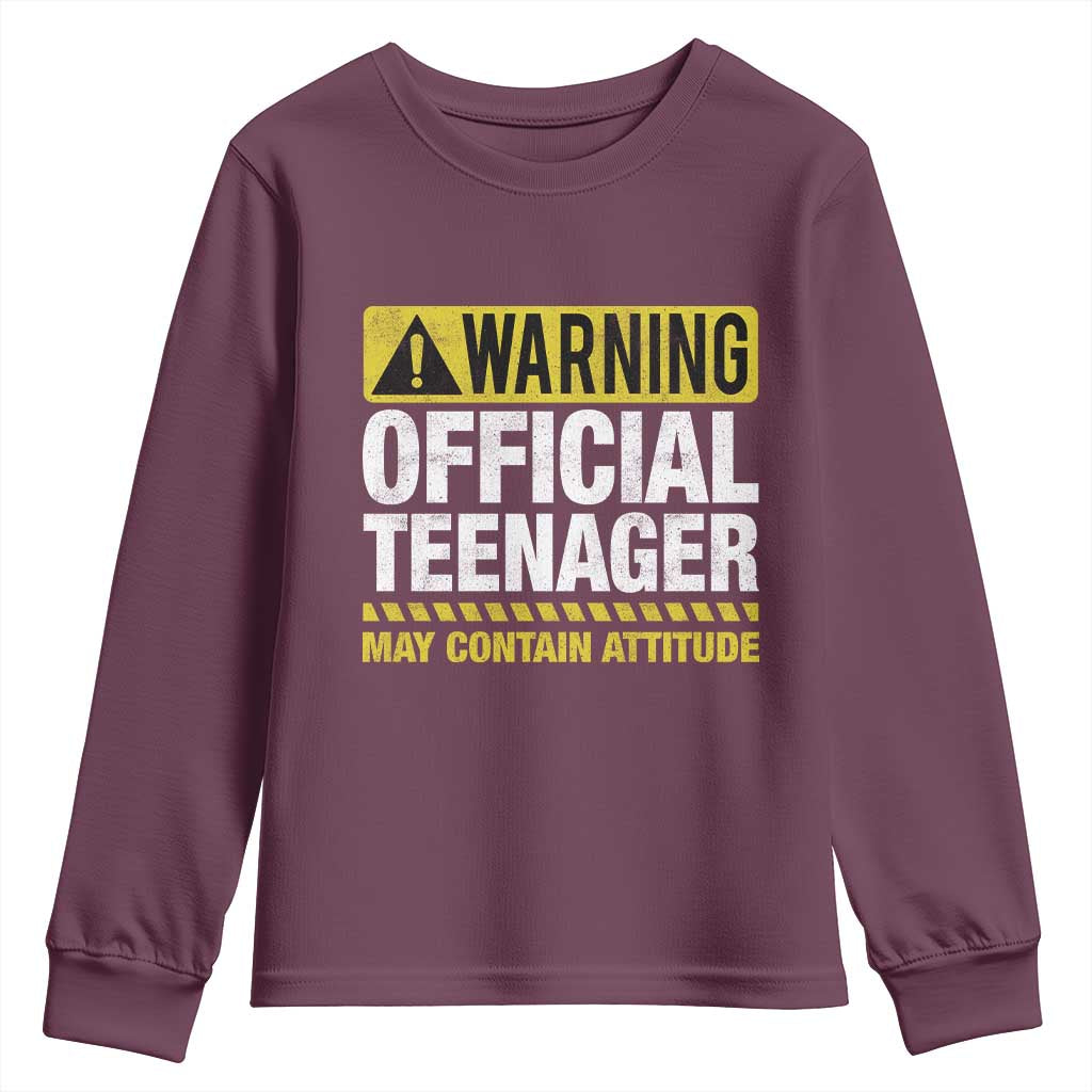 13th Birthday Youth Sweatshirt Warning Official Teenager May Contain Attitude Funny 13 Years Old