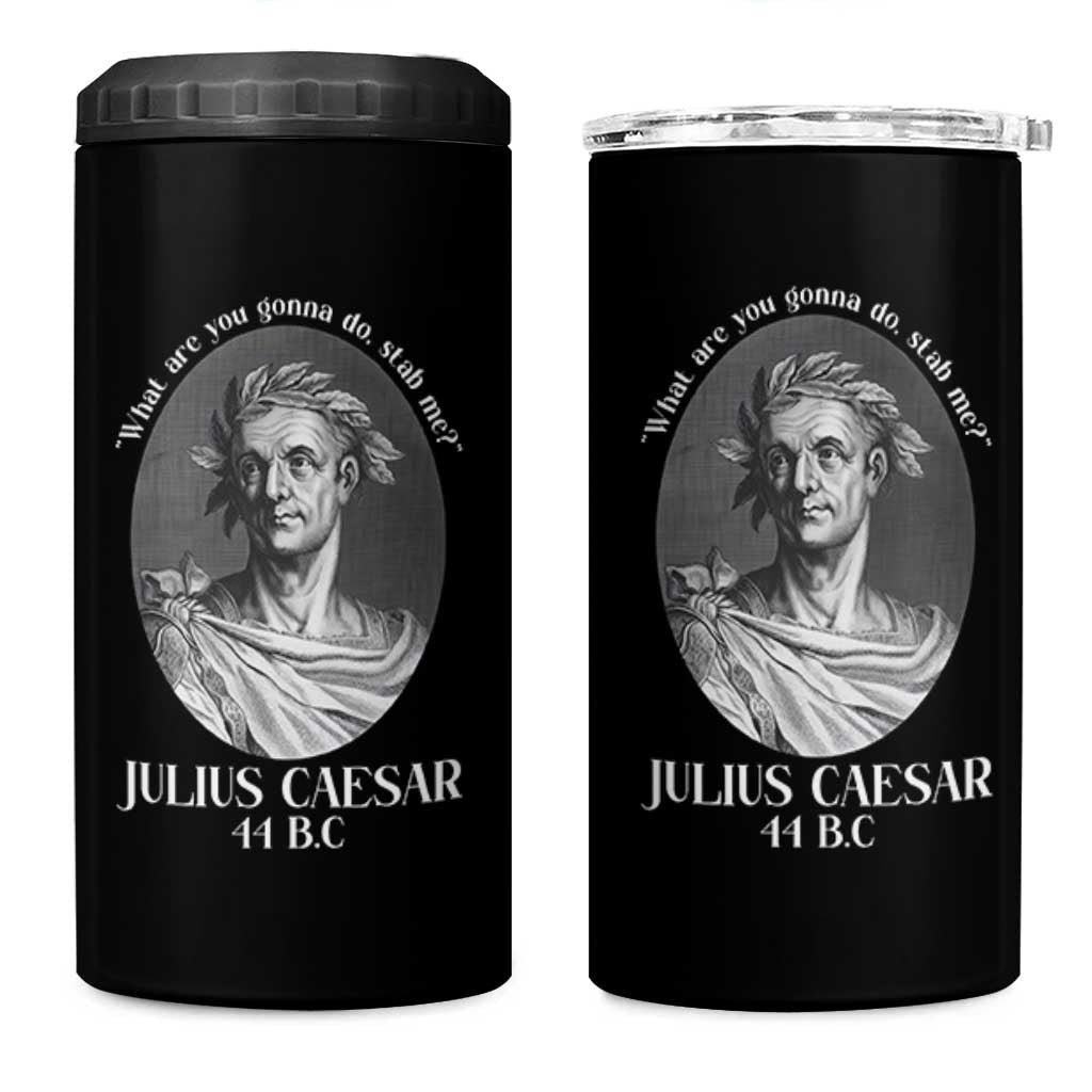Funny Julius Caesar 4 in 1 Can Cooler Tumbler What Are You Gonna Do Stab Me Roman History - Wonder Print Shop