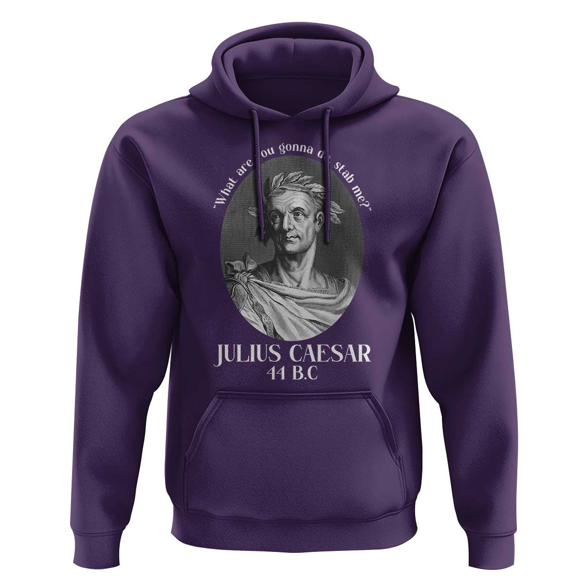 Funny Julius Caesar Hoodie What Are You Gonna Do Stab Me Roman History - Wonder Print Shop