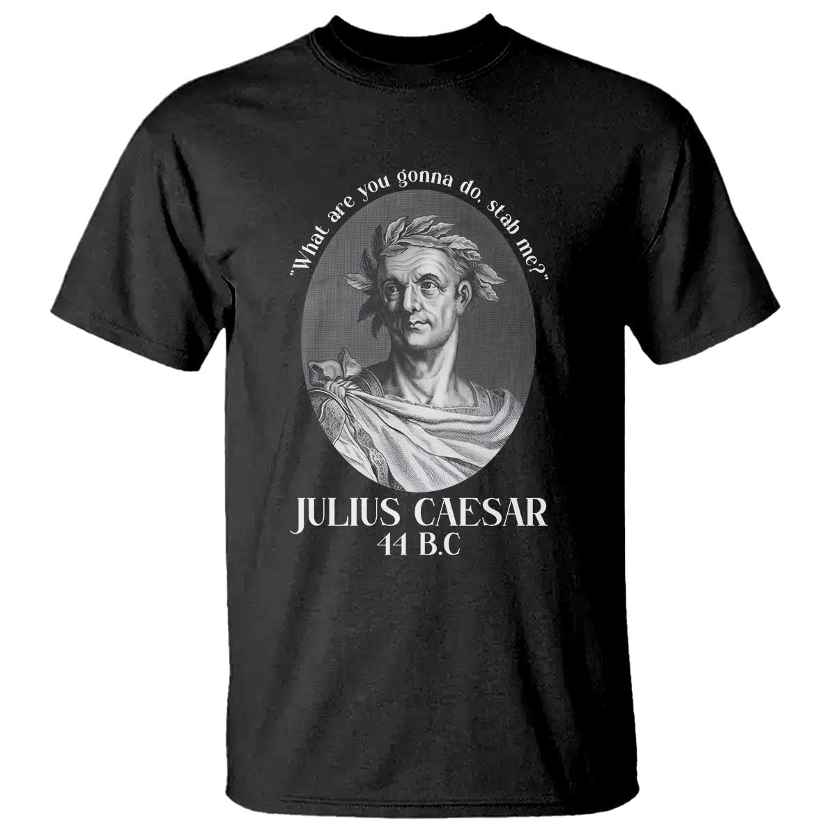 Funny Julius Caesar T Shirt What Are You Gonna Do Stab Me Roman History - Wonder Print Shop