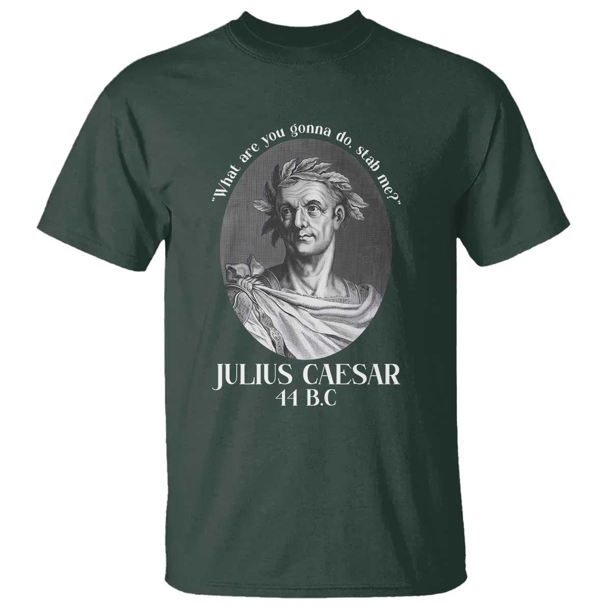 Funny Julius Caesar T Shirt What Are You Gonna Do Stab Me Roman History - Wonder Print Shop