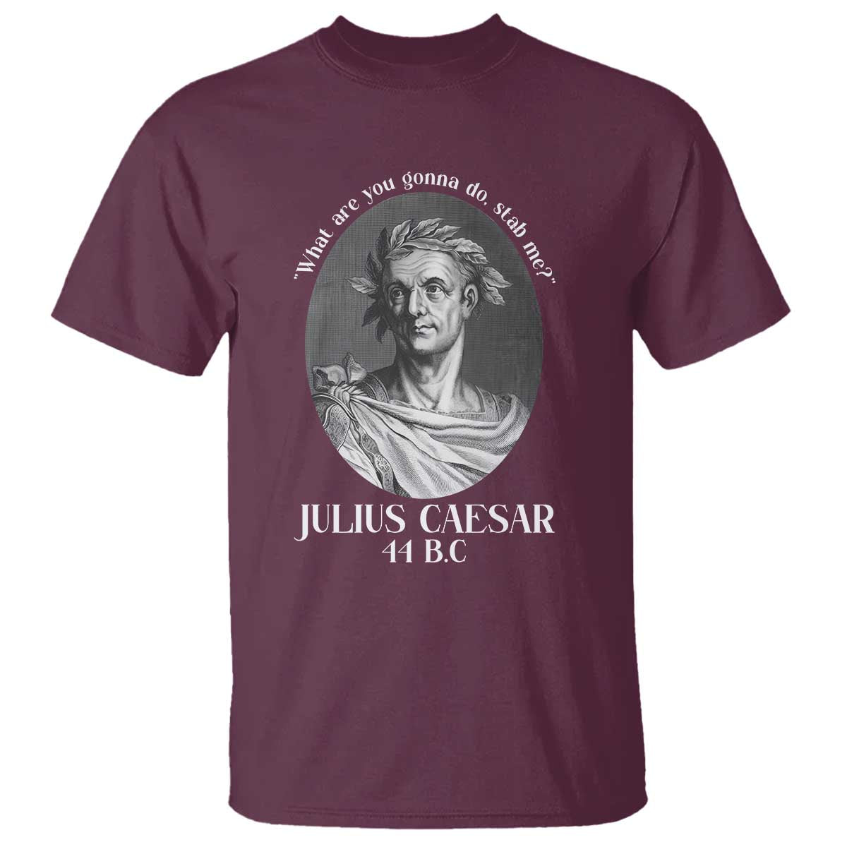 Funny Julius Caesar T Shirt What Are You Gonna Do Stab Me Roman History - Wonder Print Shop