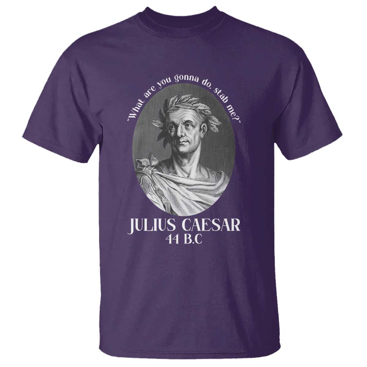 Funny Julius Caesar T Shirt What Are You Gonna Do Stab Me Roman History - Wonder Print Shop