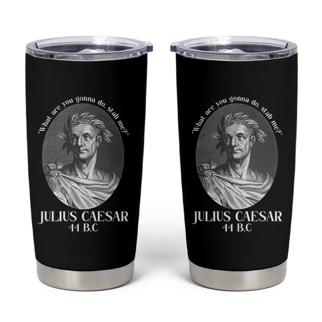 Funny Julius Caesar Tumbler Cup What Are You Gonna Do Stab Me Roman History - Wonder Print Shop